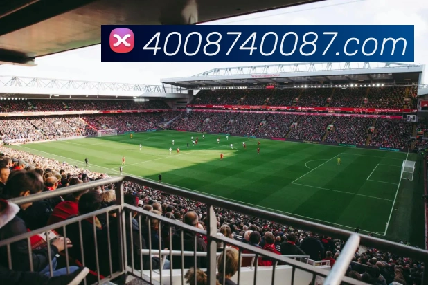 开云appAPP 封面图